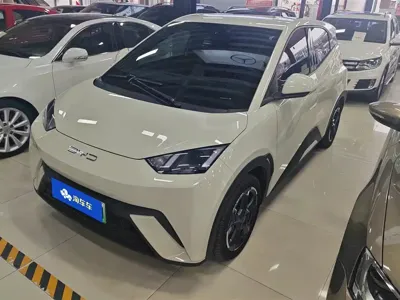 BYD Seagull