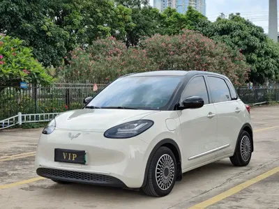 Wuling Bingo