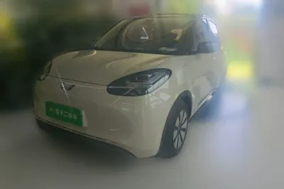 Wuling Bingo