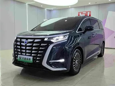 Denza Denza D9