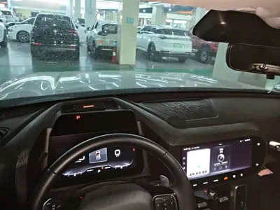 Haval Big Dog