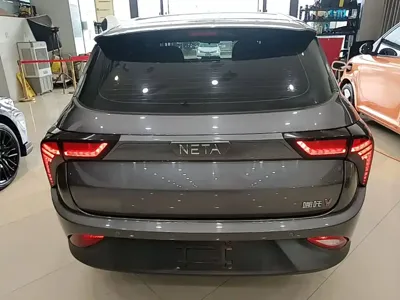 NETA Neta V