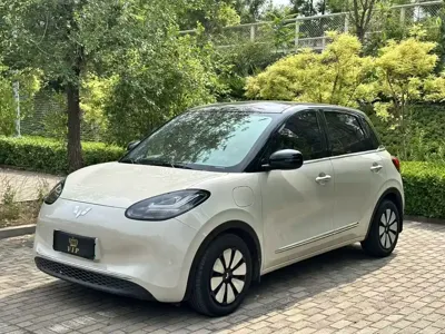Wuling Bingo
