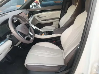 BYD PLUS New Energy