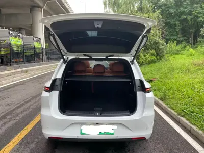 Li Auto Li L6