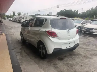 Changan EV