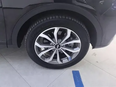 WEY Wey VV6