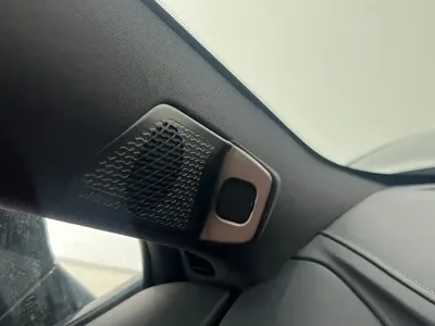 BYD L EV