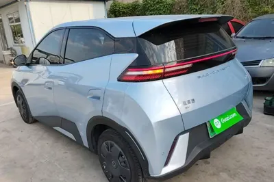 BYD Seagull
