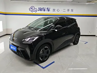 BYD Seagull