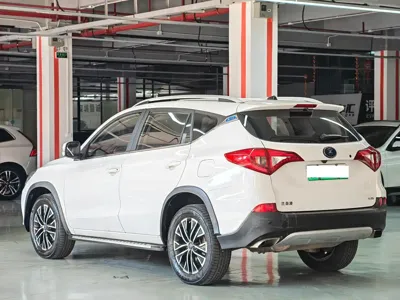 BYD New Energy