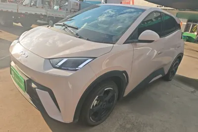 BYD Seagull
