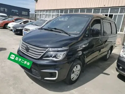 Fengxing Lingzhi