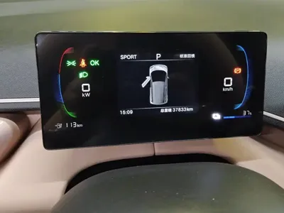 BYD Seagull