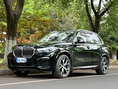BMW X5 (Import)