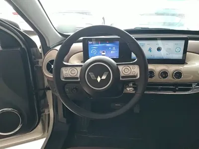 Wuling Bingo