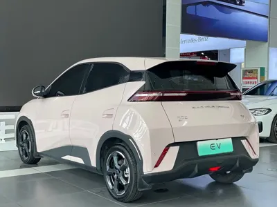 BYD Seagull