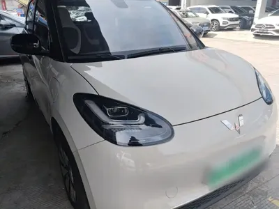 Wuling Bingo