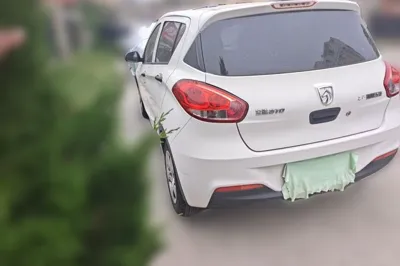 Baojun 310