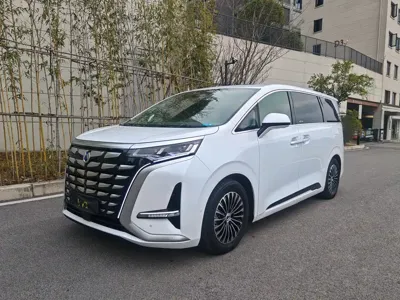 Denza Denza D9