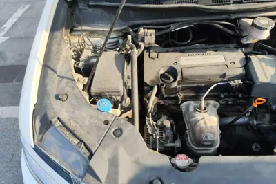 Honda Elysion