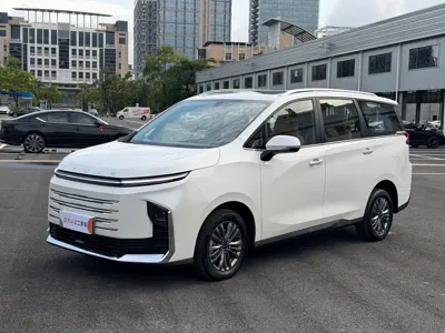 大通 大通G50插电混动