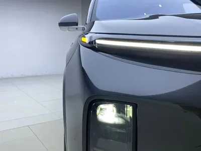 Li Auto Li L8