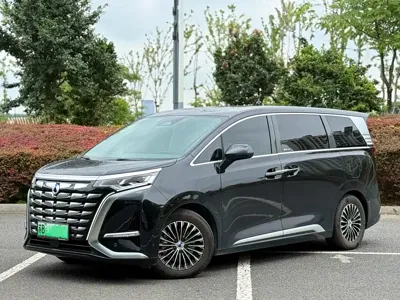 Denza Denza D9