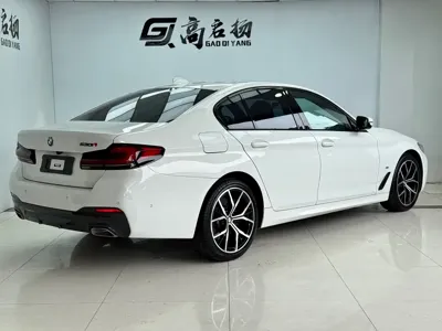 BMW 5 Series (Import)