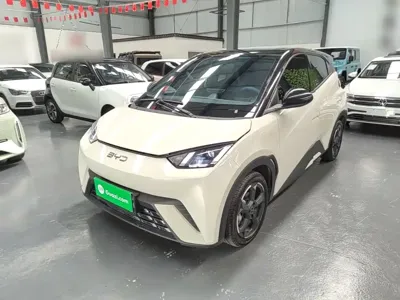 BYD Seagull