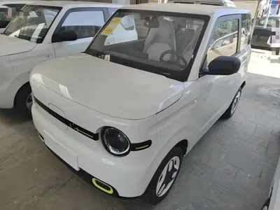 Galaxy Panda