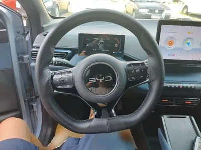 BYD Seagull