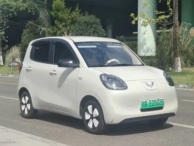 Wuling MINIEV