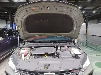 Geely Binrui