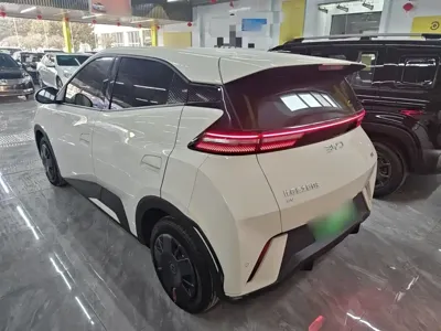 BYD Seagull