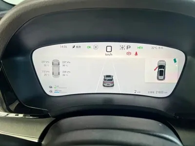 BYD PLUS New Energy