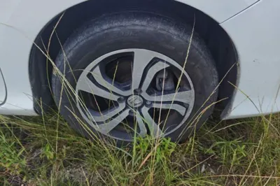 Honda Greiz