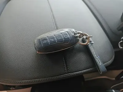 BYD PLUS