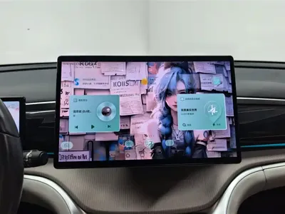 BYD Pro New Energy