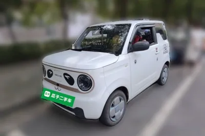 Geely Galaxy Panda