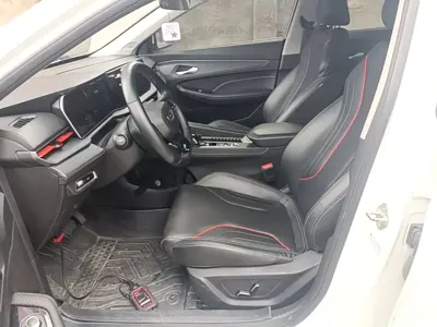 Geely Binrui