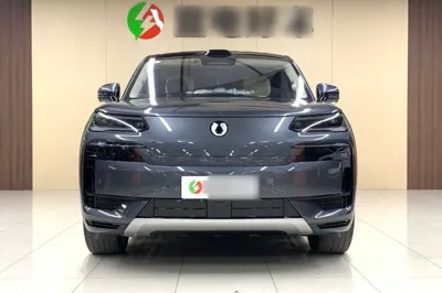 Denza N9