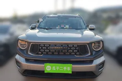 Haval H Dog