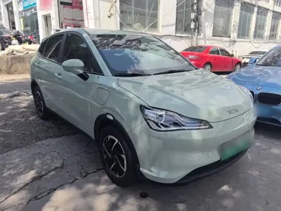 NETA Neta V
