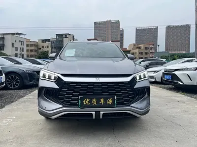 BYD Pro New Energy