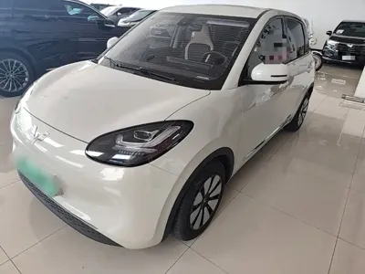 Wuling Bingo