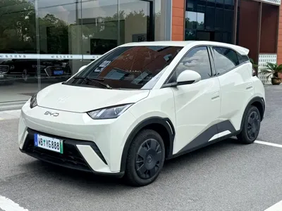 BYD Seagull
