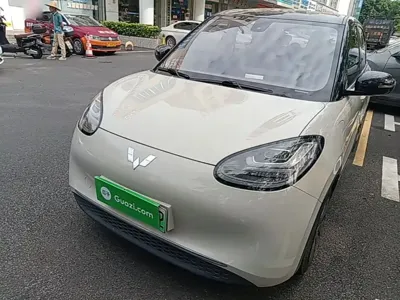 Wuling Bingo