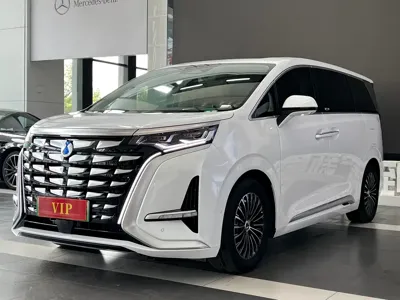 Denza Denza D9