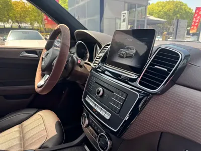 Mercedes-Benz 奔驰GLE(进口)